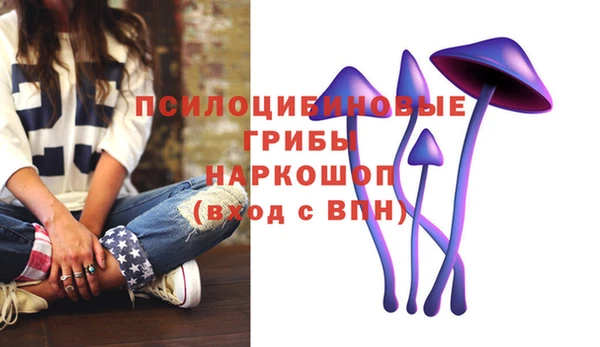 не бодяженный Зерноград