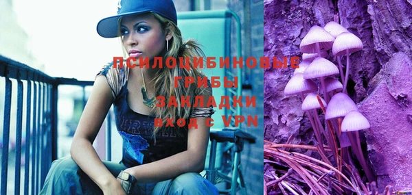 spice Инта