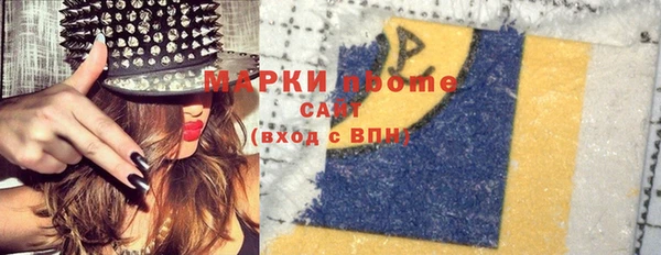 spice Инта