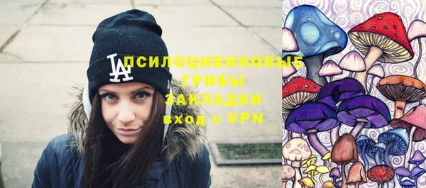 хмурый Зеленокумск