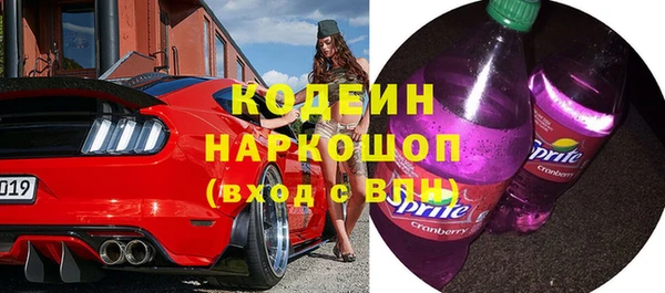 spice Инта