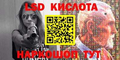 гашик Кингисепп