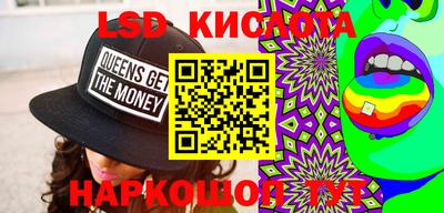 гашик Кингисепп