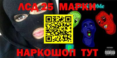 гашик Кингисепп