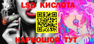 гашик Кингисепп