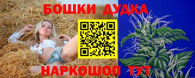 гашик Кингисепп