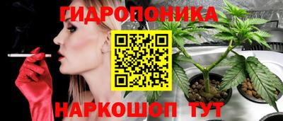 каннабис Берёзовский