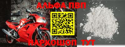 гашик Кингисепп