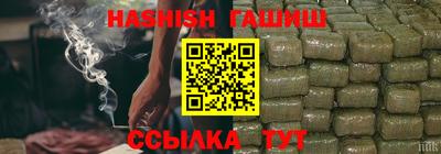 гашик Кингисепп