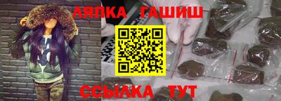 гашик Кингисепп