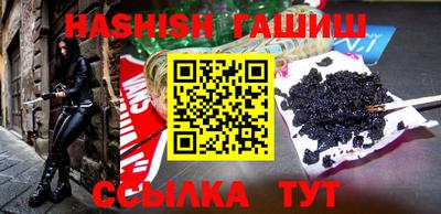 гашик Кингисепп