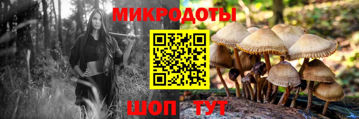 Псилоцибиновые грибы мухоморы Северодвинск